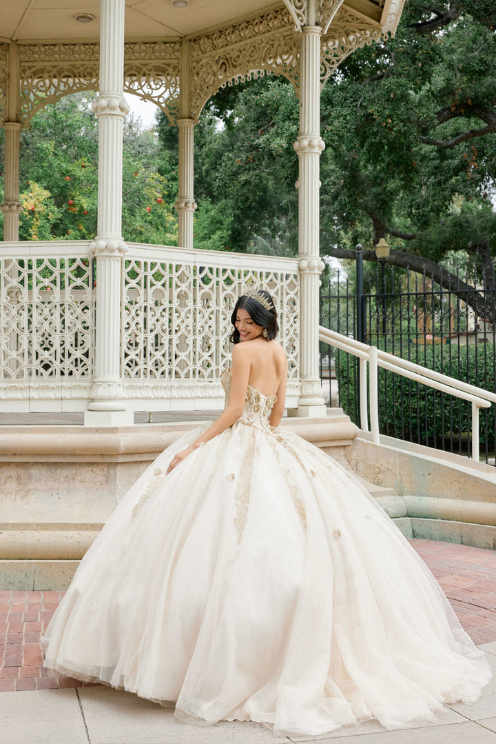 Juliet JT1465H quinceanera ball gown back view