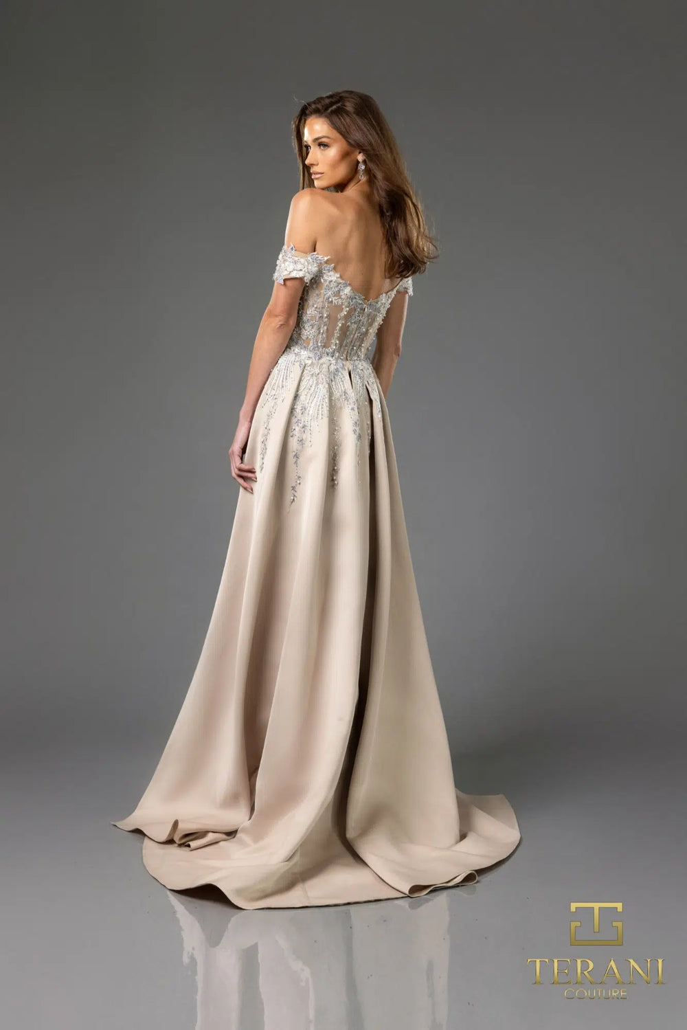 TERANI 251E3233 DRESS - FOSTANI.com