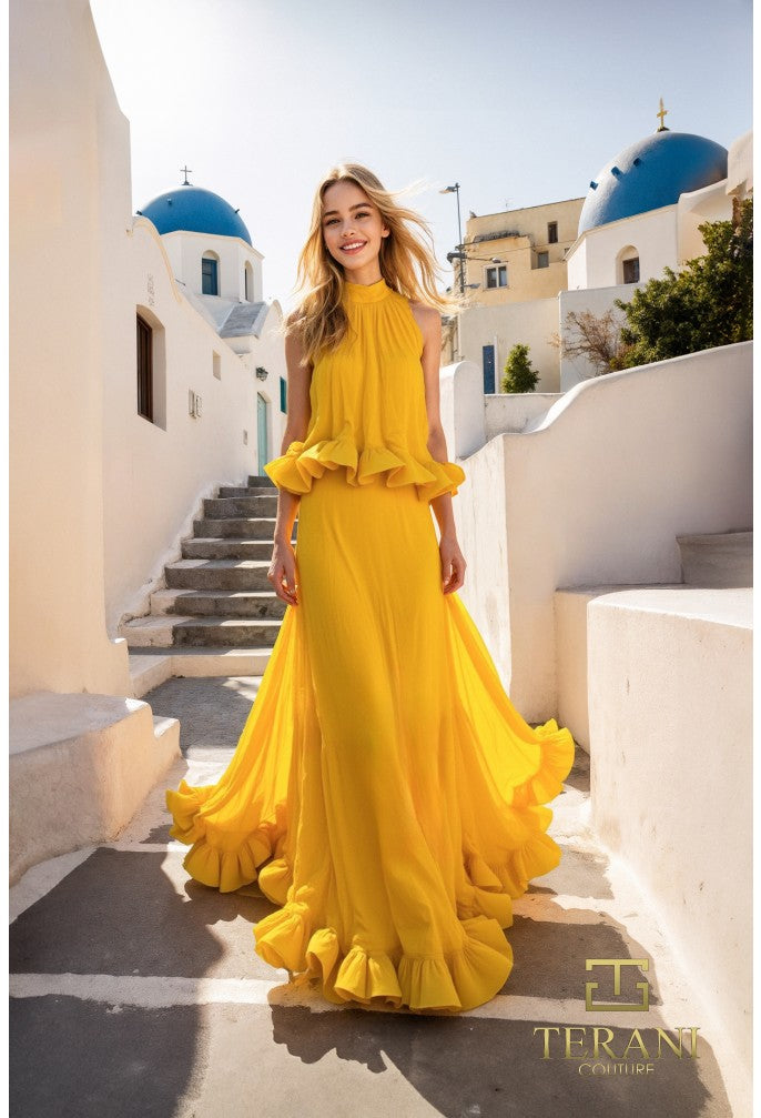 Terani 251E4657 Dress