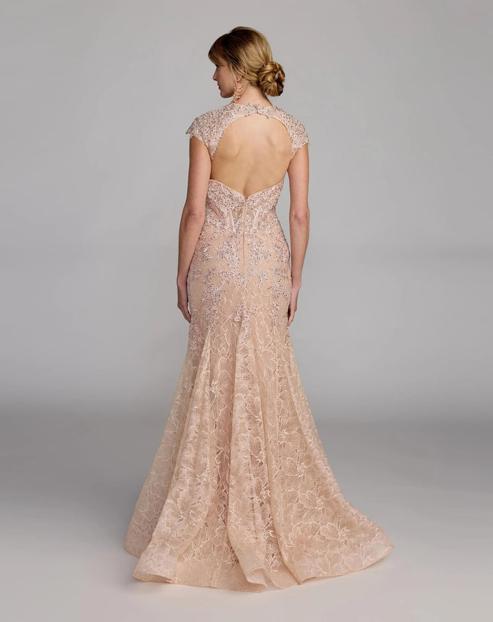Pink Embroidered Lace Mermaid Gown With Cap Sleeves - FOSTANI.com