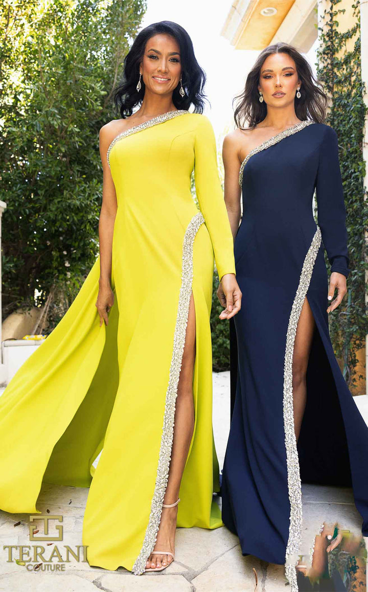 Terani 242E3133 Dress - FOSTANI.com