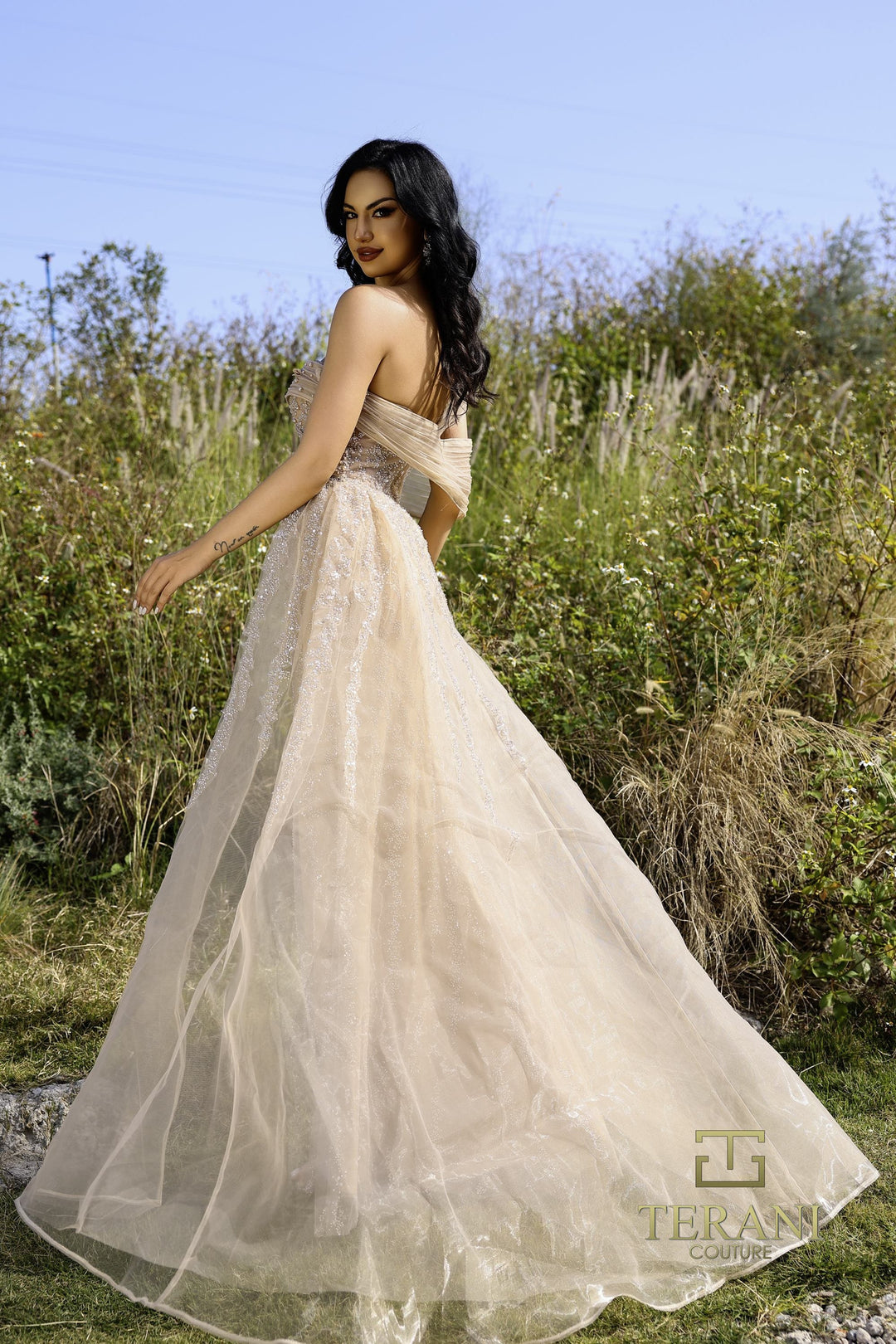 Terani 252E5125 Dress - FOSTANI.com