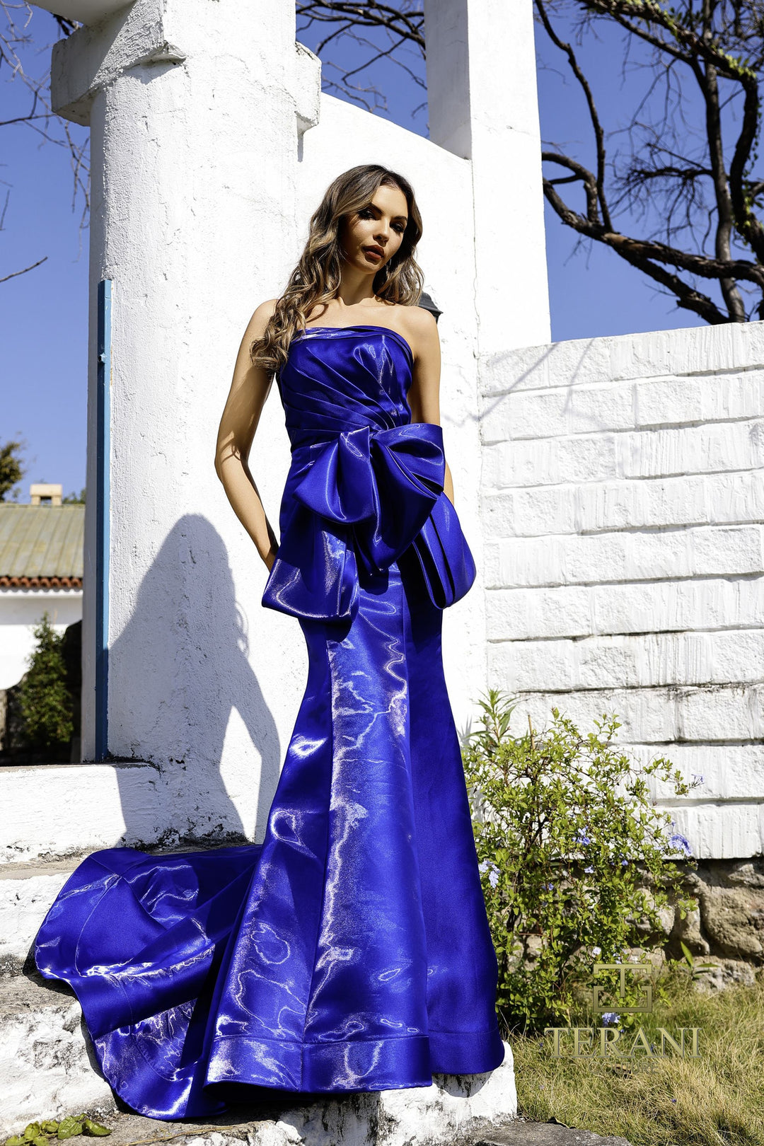 Terani 252E5164 Dress - FOSTANI.com