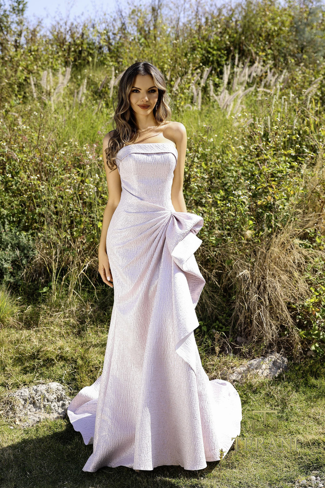 Terani 252E5200 Dress - FOSTANI.com
