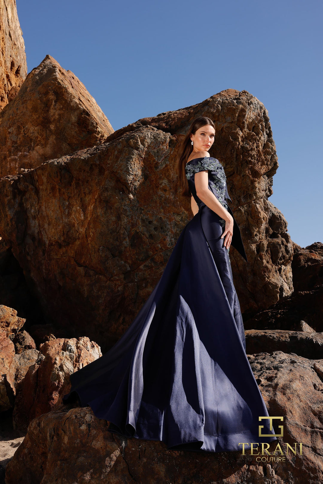 Terani 252M5309 Dress - FOSTANI.com