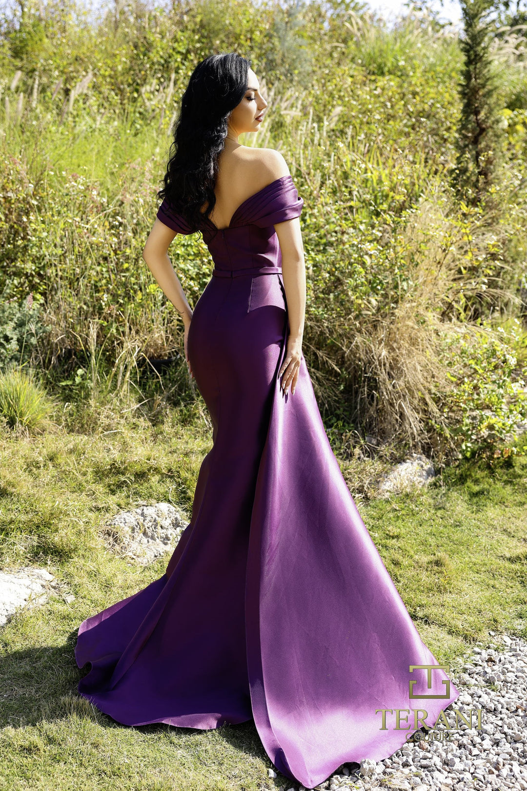 Terani 252M5342 Dress - FOSTANI.com