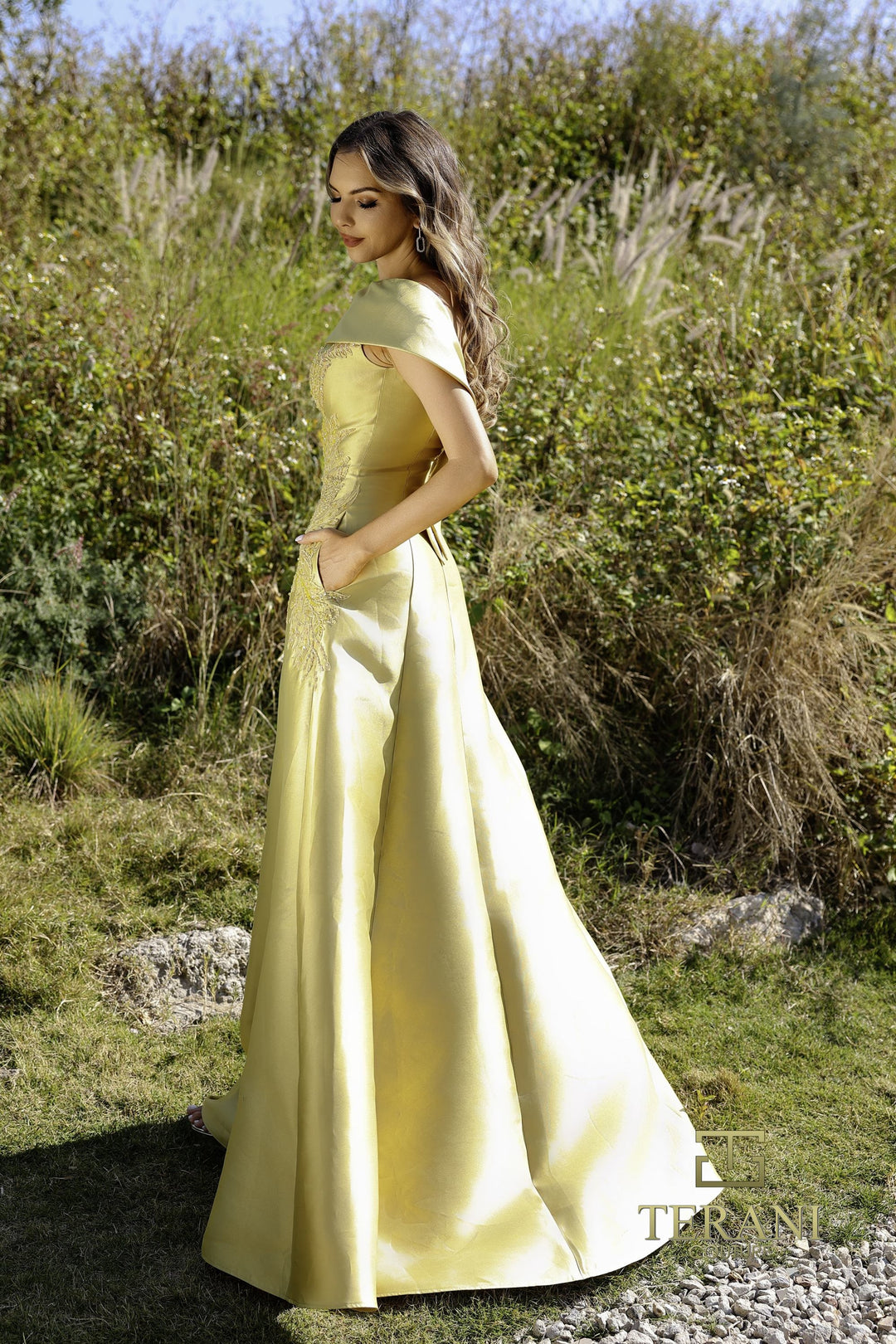 Terani 252M5356 Dress - FOSTANI.com