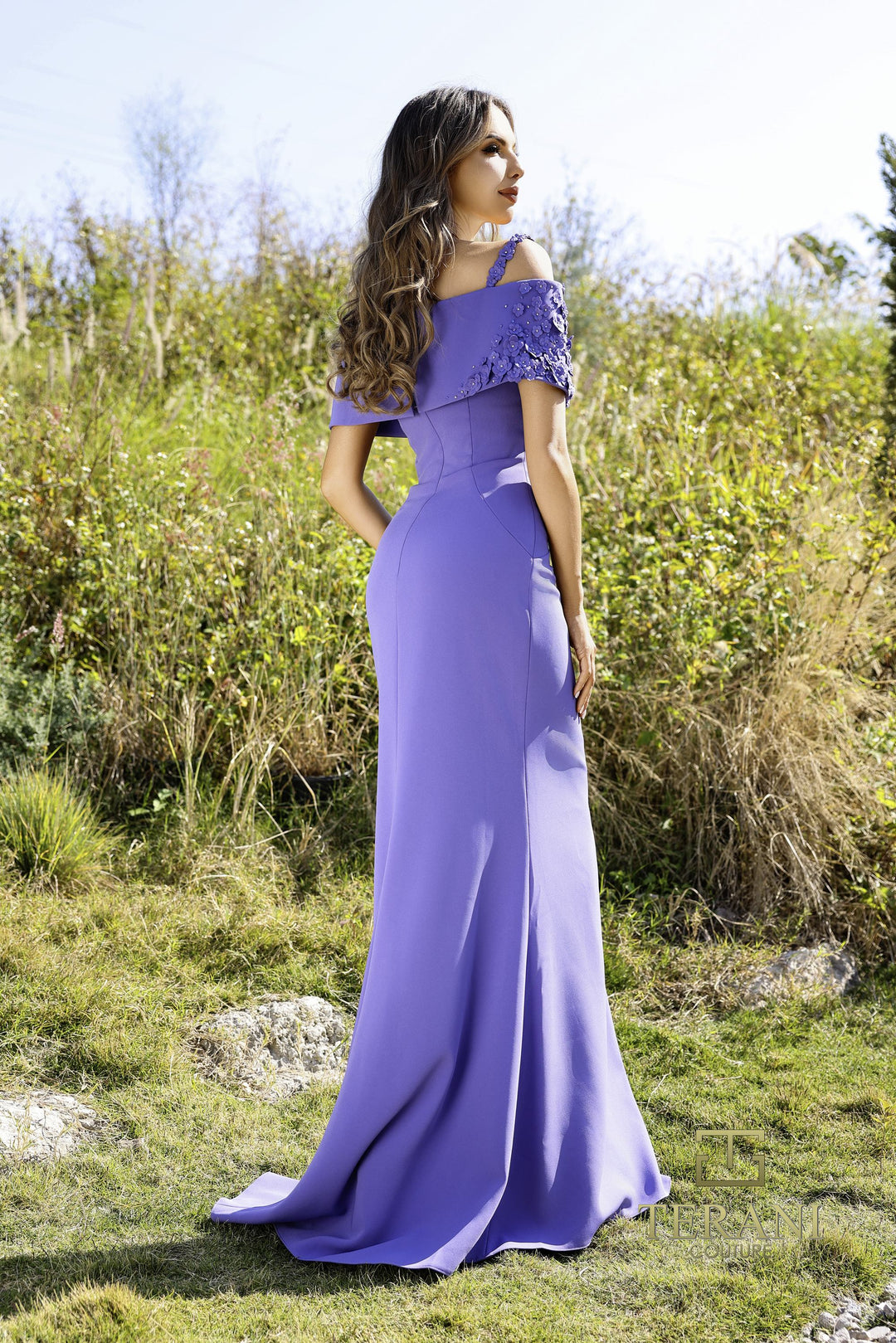 Terani 252M5347 Dress - FOSTANI.com