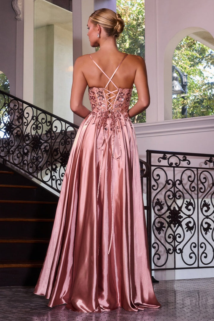 Ladivine C179 A-line prom dress crisscross lace-up back view