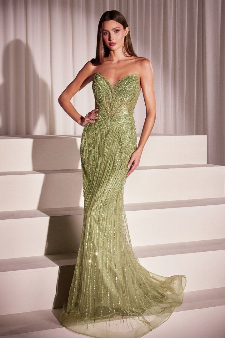 Cinderella Divine CC416 DRESS - FOSTANI.com
