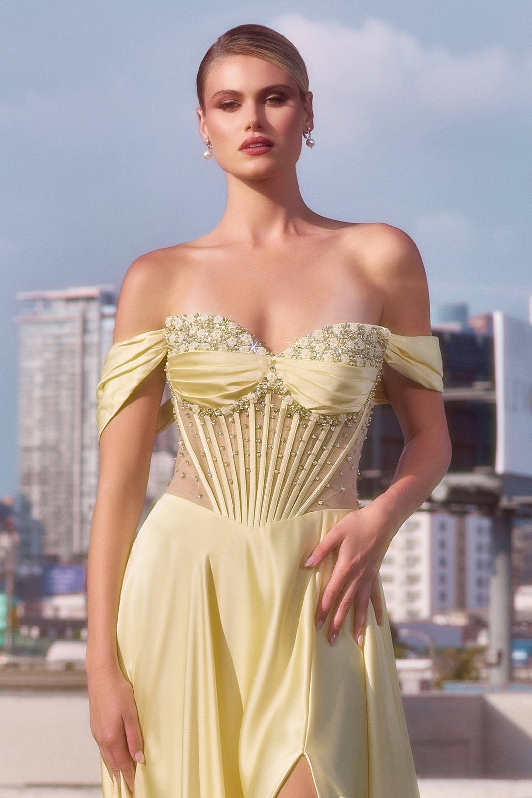 Cinderella Divine CD297 Dress - FOSTANI.com
