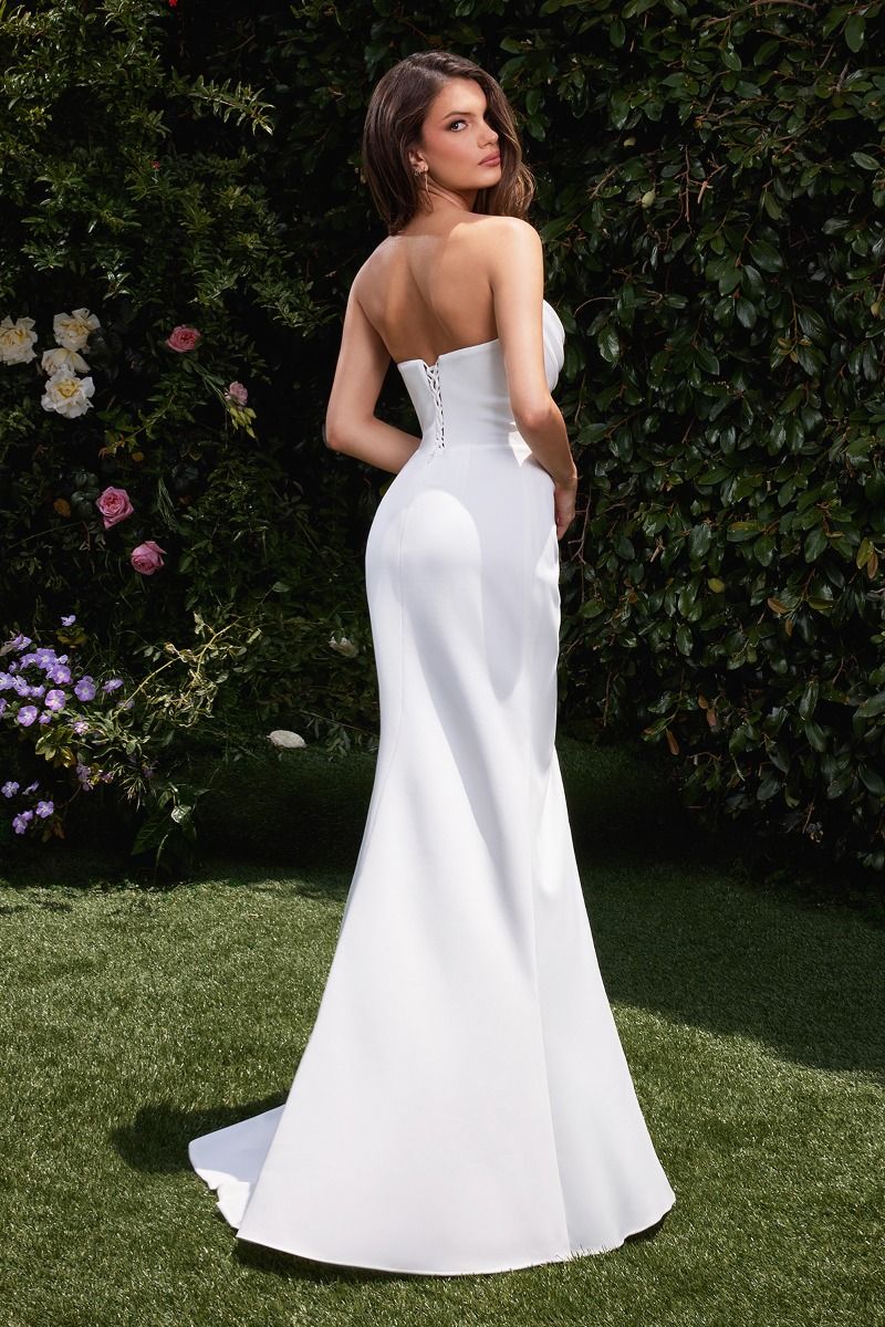 Cinderella Divine CD355W DRESS - FOSTANI.com