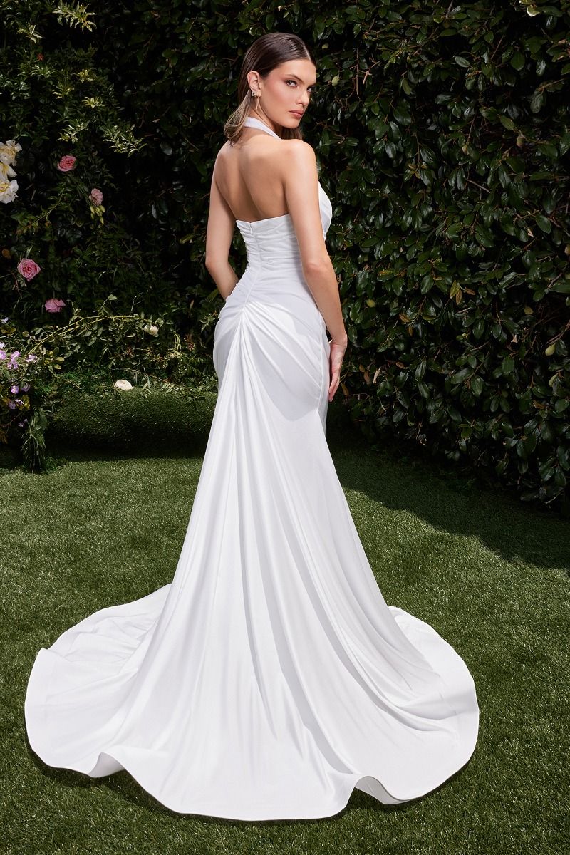 Cinderella Divine CD796W DRESS - FOSTANI.com