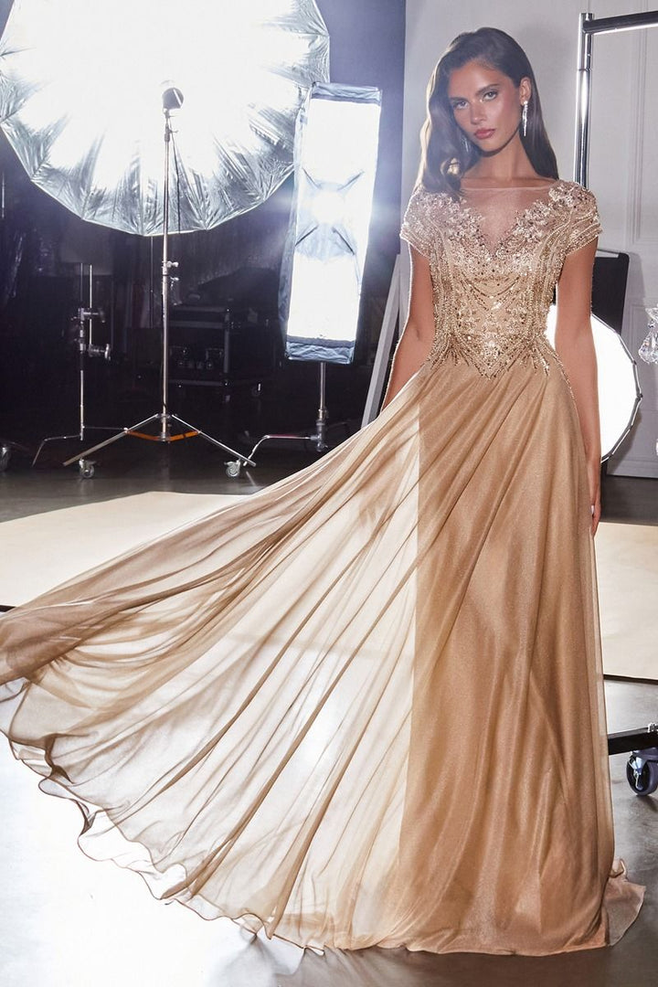 Ladivine CL11 Beaded Illusion Mother of the Bride Dress