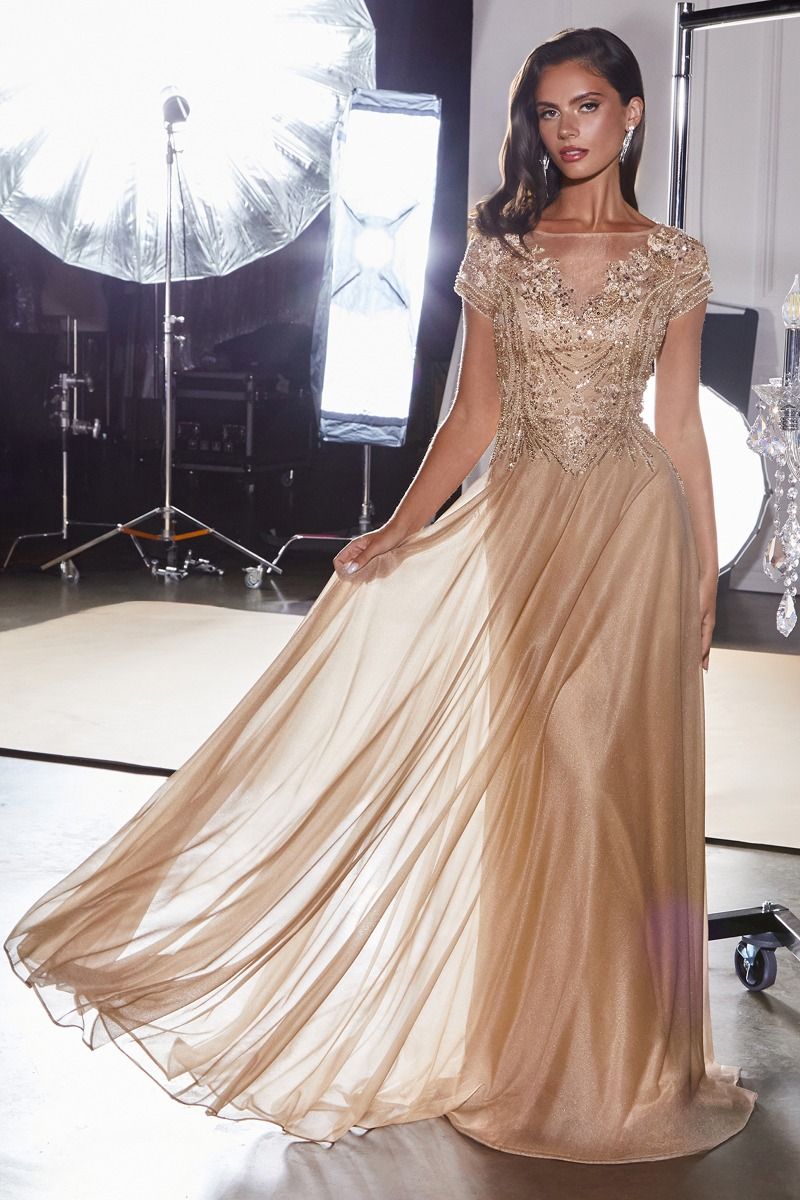 Ladivine CL11 Beaded Illusion Mother of the Bride Dress