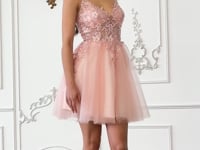 Ladivine  SF047  Dress