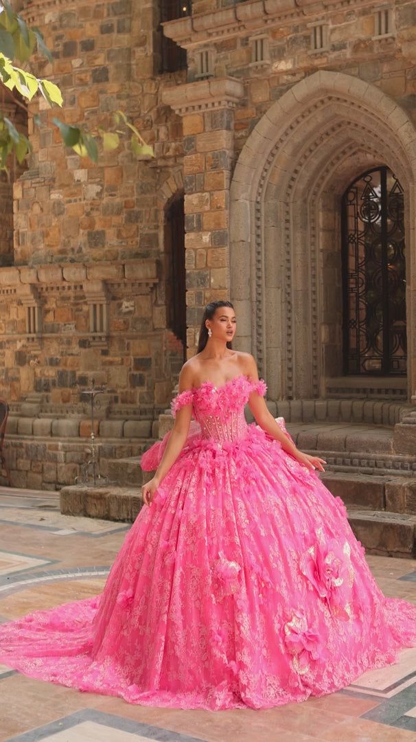 Amarra 54233 3D Floral Glitter Quinceañera Ball Gown