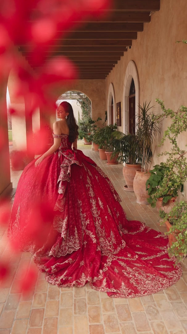 Amarra 54123 Embroidered Cathedral Train Quinceañera Ball Gown