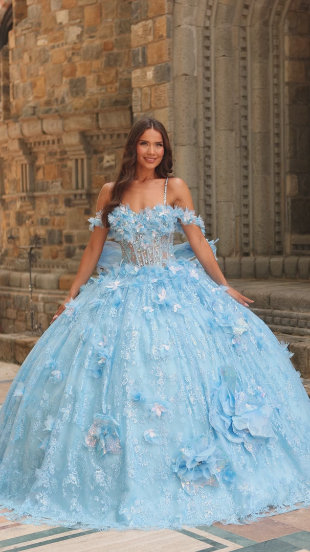 Amarra 54233 3D Floral Glitter Quinceañera Ball Gown