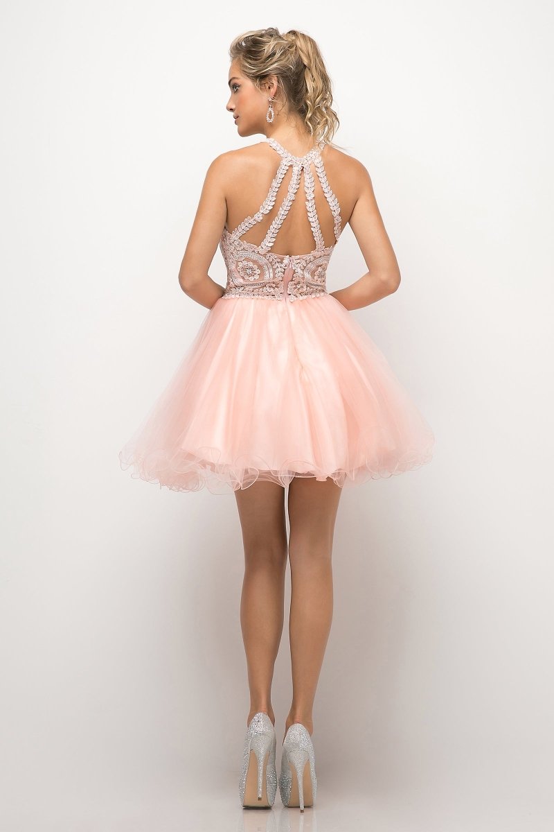 Ladivine UJ0119 open back with crisscross lace straps