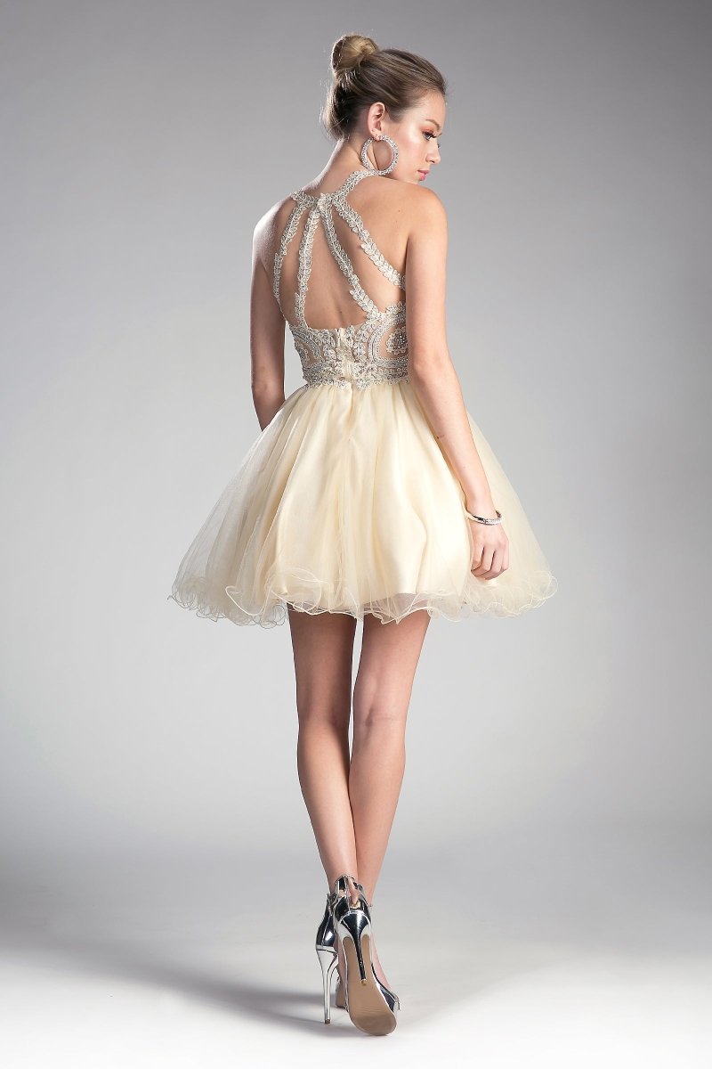 Ladivine UJ0119 lace bodice back detail