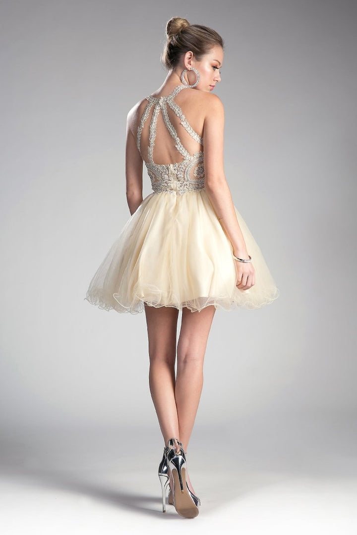 Ladivine UJ0119 lace bodice back detail