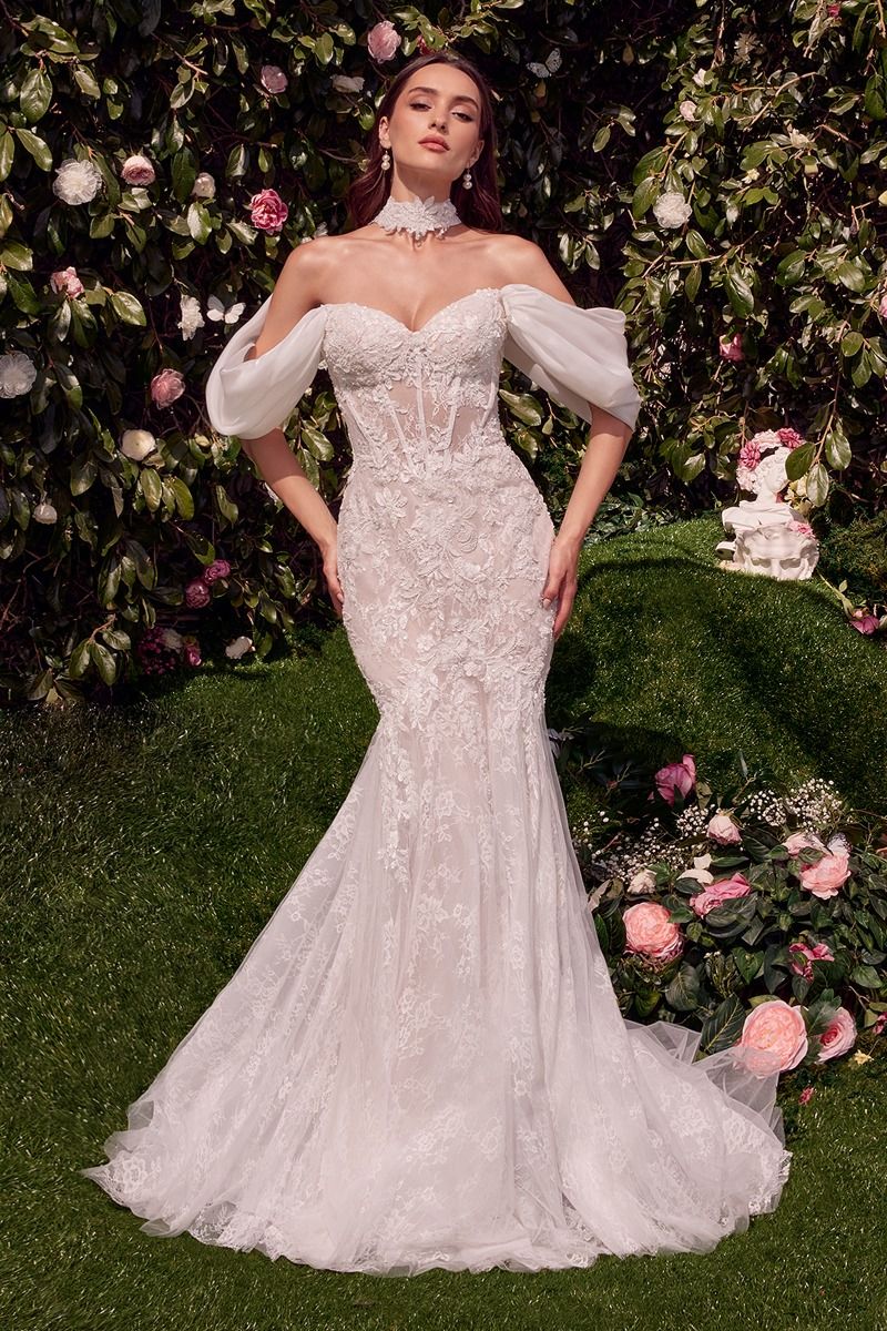 ANDREA AND LEO WL031 DRESS - FOSTANI.com