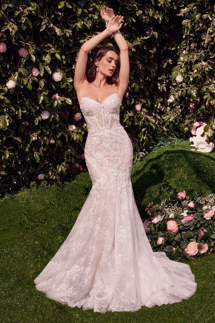 ANDREA AND LEO WL031 DRESS - FOSTANI.com