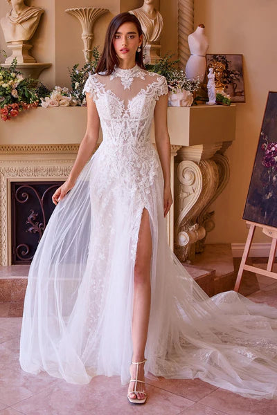 ANDREA AND LEO WL035 DRESS - FOSTANI.com