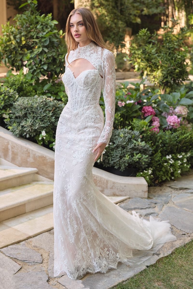 Andrea & Leo Couture WL071 Dress - FOSTANI.com