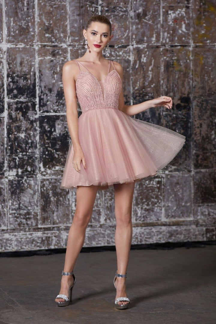 Cinderella Divine CD0148 Dress - FOSTANI